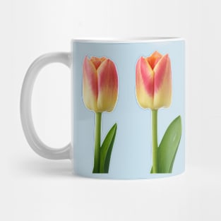 Tulipa &#39;Candy Corner&#39; Triumph Tulip Mug